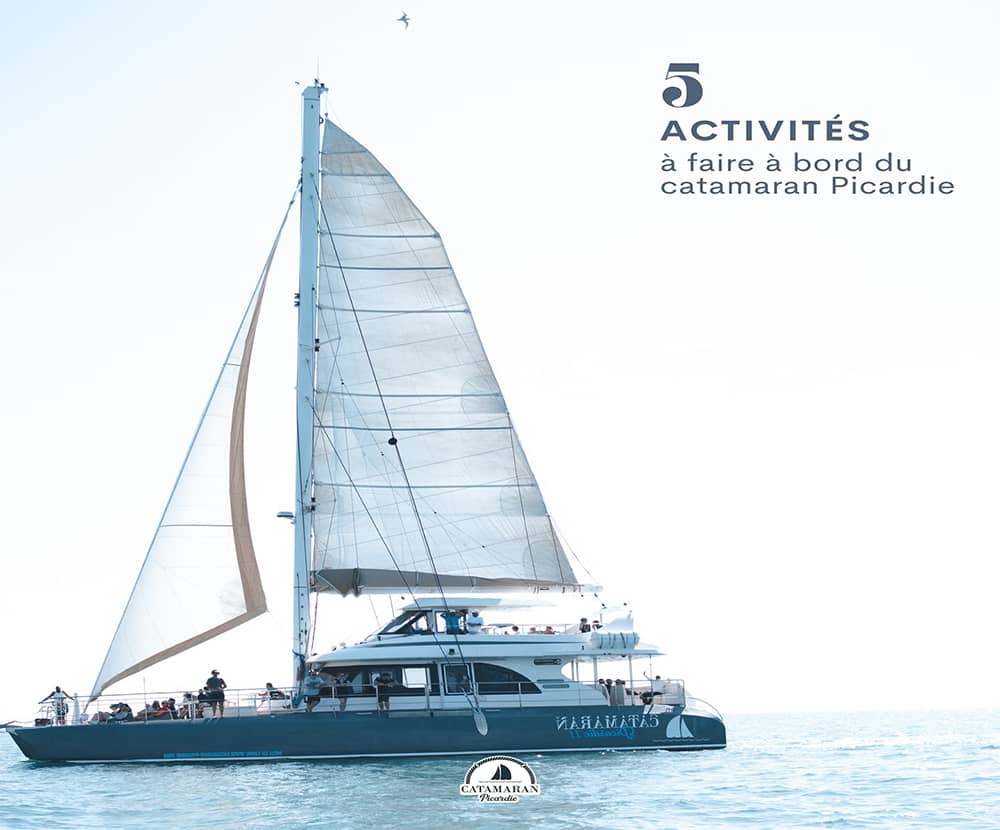 Catamaran le Picardie du Grau du Roi dans le Gard