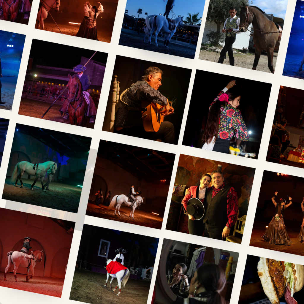 Photos du Cabaret Equestres du Grau du Roi